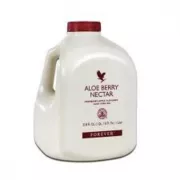 Suco De Aloe Vera Gel (babosa) Sabor Berry Nectar (natural)