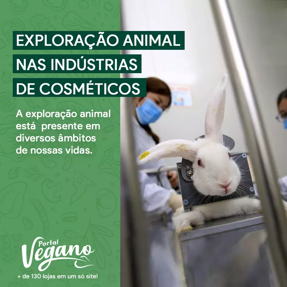 Exploração animal está presente em diversos âmbitos de nossas vidas