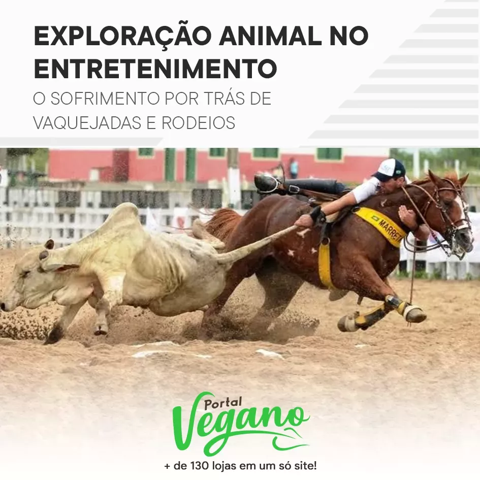 Exploração animal no entretenimento - o sofrimento por trás de vaquejadas e rodeios 