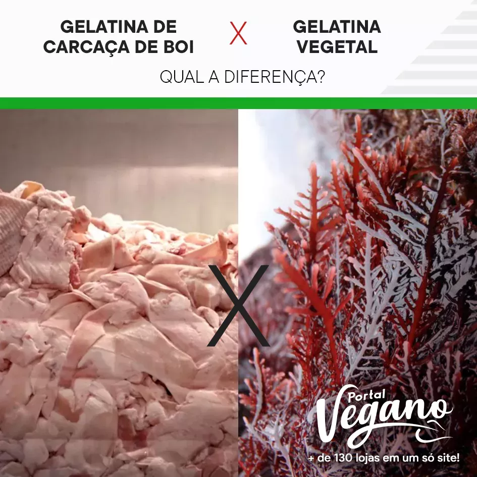 Gelatina de carcaça de boi x Gelatina vegetal - Conheça o ágar-ágar, a gelatina vegana