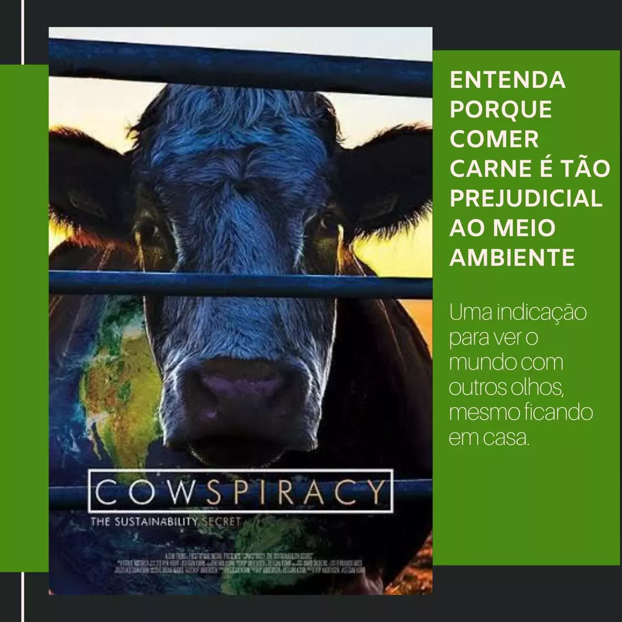Cowspiracy: entenda por que comer carne é tão prejudicial ao meio ambiente