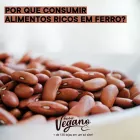 grãos de feijão: as leguminosas e o ferro na dieta vegana
