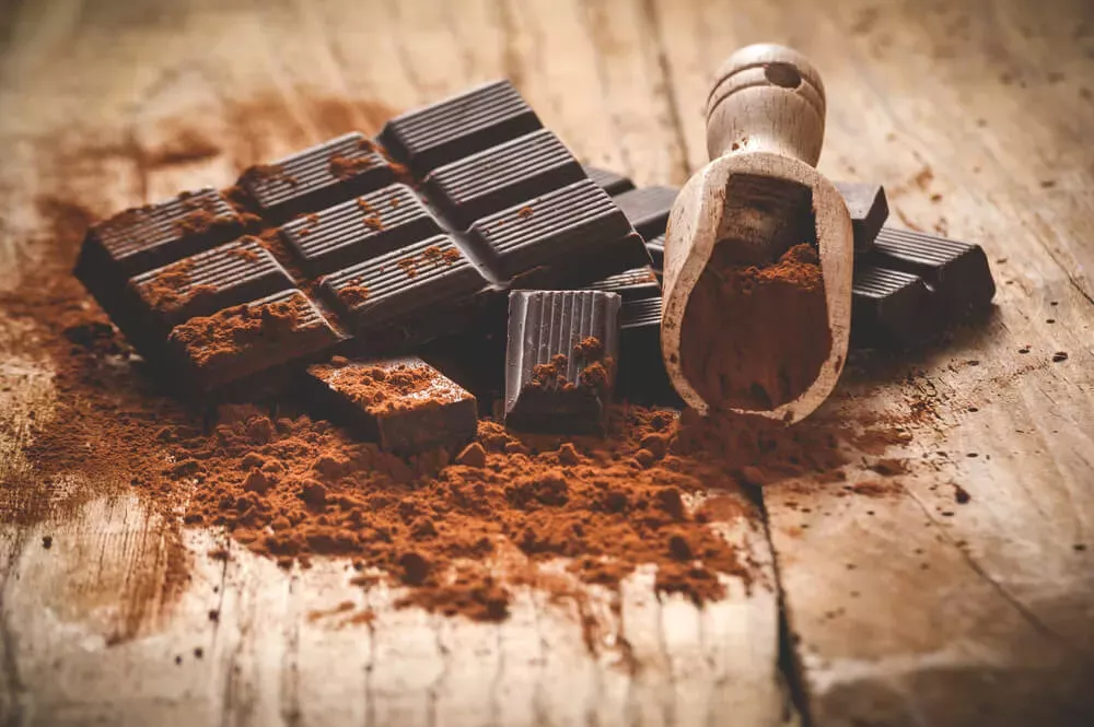 Chocolate vegano - descubra a composição, preços, marcas e onde comprar