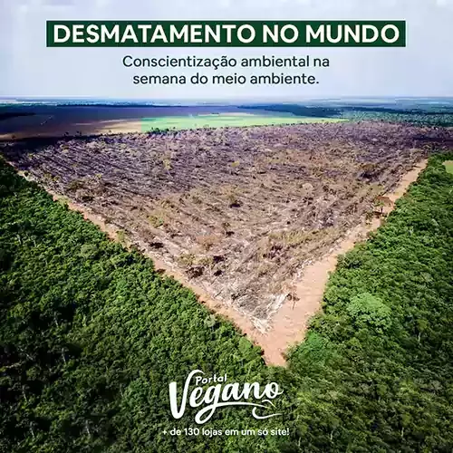 Desmatamento do mundo: conscientização ambiental na semana do meio ambiente