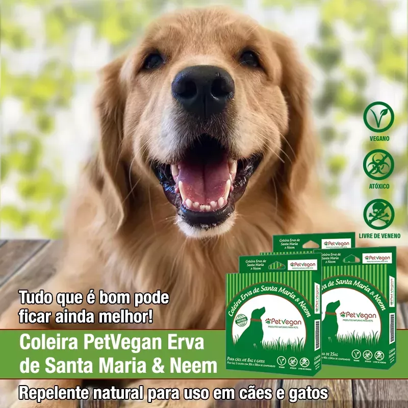 Coleira Natural Erva de Santa Maria e Neem – Antipulgas e Carrapatos - Zen  Animal - Produtos Naturais e Especiais para Cães e Gatos.
