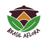 logo loja - Brasil Aflora