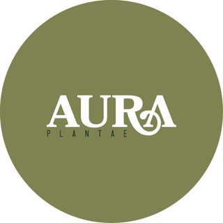 logo loja - Aura Plantae
